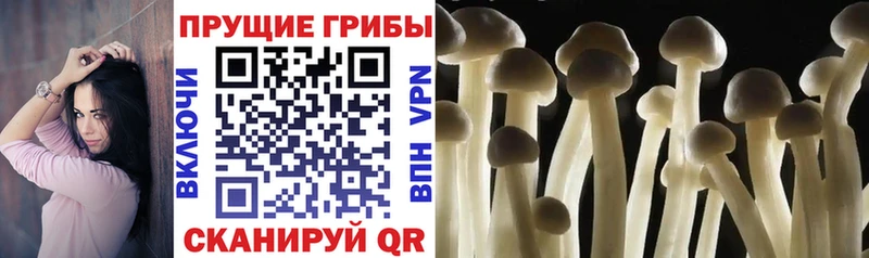 Галлюциногенные грибы прущие грибы Электросталь