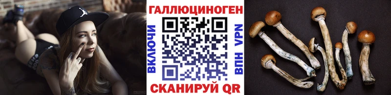 Купить  Электросталь  Псилоцибиновые грибы GOLDEN TEACHER 